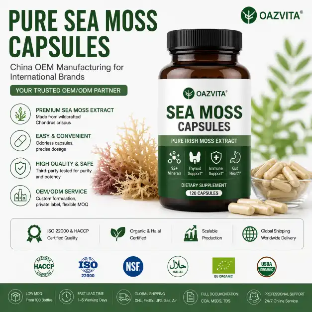 China OEM Manufacturing of Pure Sea Moss Capsules for International Brands